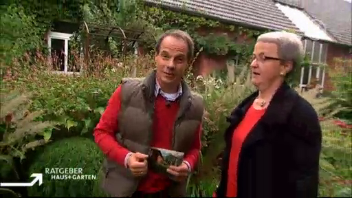 Hier geht`s zum Fernsehbeitrag Hier geht`s zum Fernsehbeitrag